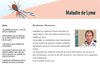 Maladie de Lyme