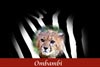Ombambi